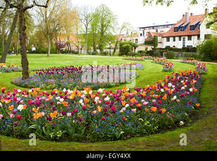 große Beete voll von bunten Blumen vor den Häusern, Belgien Stockfoto