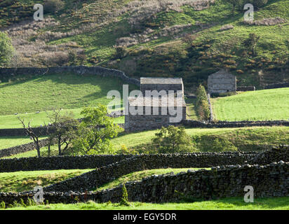 Stein Scheunen und Trockenmauern in der Nähe von Muker, Swaledale Stockfoto