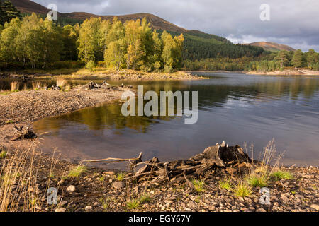 Glen Affric, Schottland, Vereinigtes Königreich Stockfoto