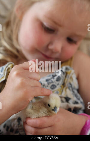 Mädchen und Küken Stockfoto