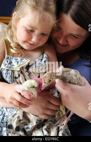 Großmutter und Enkelin mit Küken Stockfoto