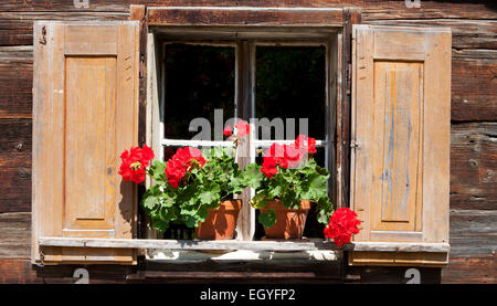 Fenster mit Geranien, Bauernhaus, Freilichtmuseum Großgmain, Großgmain, Salzburger Land, Österreich Stockfoto