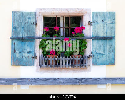 Fenster mit Geranien, Bauernhaus, Freilichtmuseum Großgmain, Großgmain, Salzburger Land, Österreich Stockfoto