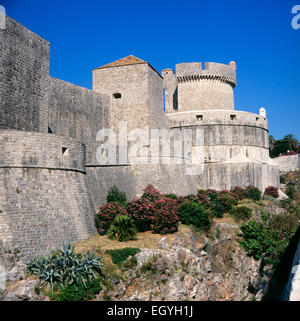 Dubrovnik-Wände und Festung Minceta, Kroatien Stockfoto