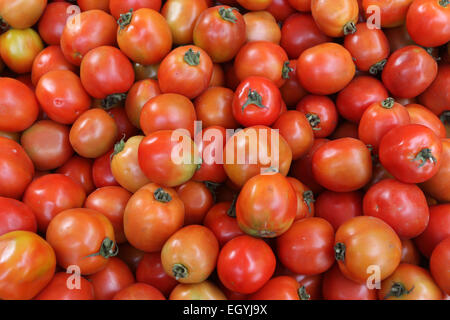 Tomaten Stockfoto