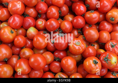 Tomaten Stockfoto