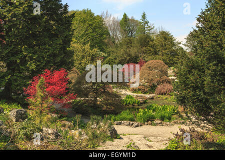 Frühling und atemberaubende Laub in den Kalkfelsen Garten von sizergh Schloss, Kendal, Cumbria, Lake District, England, Vereinigtes Königreich. Stockfoto