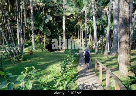 Senior Tourist auf Weg zur Höhle im Botanischen Garten auf Pico Isabel de Torres, San Felipe de Puerto Plata, Dominikanische Republik Stockfoto