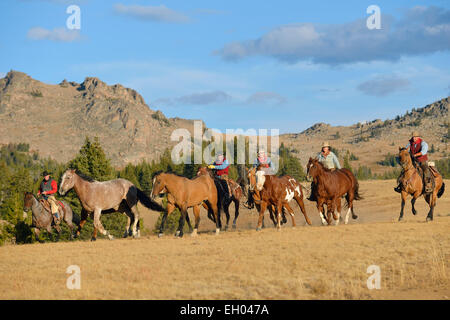 USA, Wyoming, Cowboys und Cowgirls herding Pferde in der Wildnis Stockfoto
