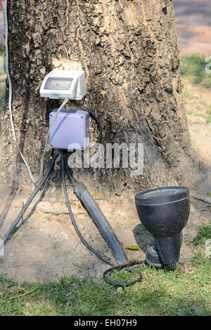 Nahaufnahme von Außenleuchte auf Rasen Stockfoto