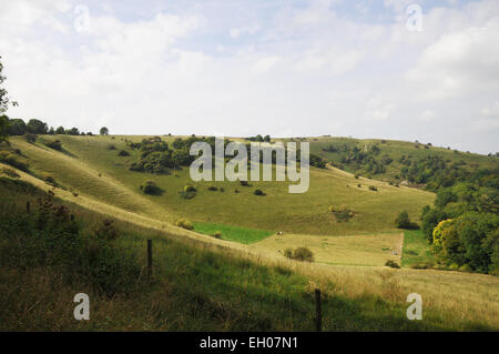 Blick über South downs Stockfoto