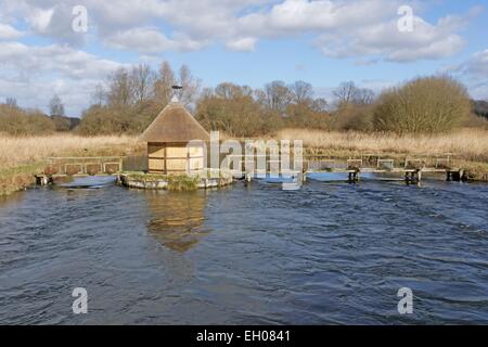 Fisherman's Hut und Aal Traps auf River Test. Stockfoto