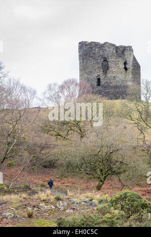 Der Turm von Dolbardan Burg (Llanberis, Wales), die im frühen dreizehnten Jahrhundert gebaut wurde. Stockfoto