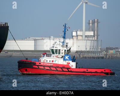 SD-STINGRAY, IMO 9448176 in Mississippi Hafen, Hafen von Rotterdam, pic1 Stockfoto