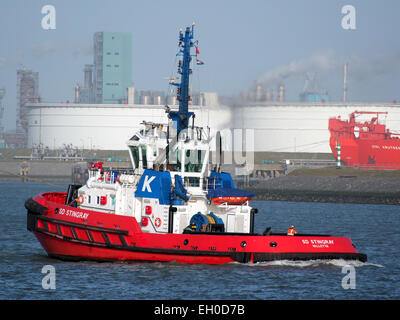 SD-STINGRAY, IMO 9448176 in Mississippi Hafen, Hafen von Rotterdam, pic2 Stockfoto