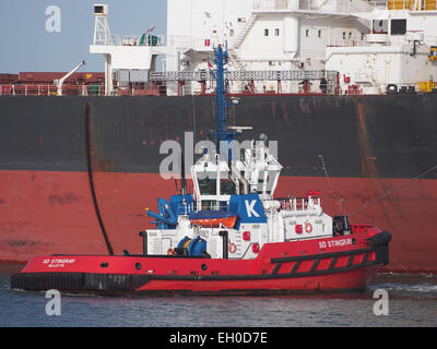 SD-STINGRAY, IMO 9448176 in Mississippi Hafen, Hafen von Rotterdam, pic4 Stockfoto