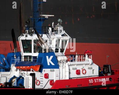 SD-STINGRAY, IMO 9448176 in Mississippi Hafen, Hafen von Rotterdam, pic5 Stockfoto