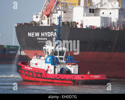 SD-STINGRAY, IMO 9448176 in Mississippi Hafen, Hafen von Rotterdam, pic6 Stockfoto