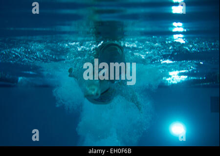 Linn Ritter, 2015 Air Force Verwundeten Krieger schwimmen Konkurrenz, schwimmt Trainingsrunden auf Nellis Air Force Base, Nevada 28. Februar 2015. Die Air Force-Studien sind eine adaptive Sport-Event zur Förderung der geistige und körperliche Wohlbefinden von schwer Kranken und verletzten Militärangehörige und Veteranen. Mehr als 105 verwundet, konkurrieren kranke oder verletzte Soldaten und Soldatinnen vom ganzen Land um einen Platz auf dem 2015 US Air Force Verwundeten Krieger Team der Luftwaffe bei adaptive sportliche Wettkämpfe im Laufe des Jahres darstellen. Stockfoto