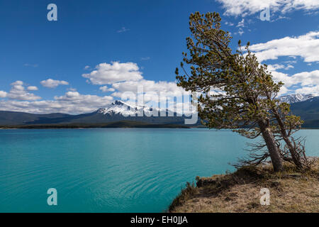 Abraham Lake und Krista Peak, in der Nähe des David Thompson Highway #11 in Albertas Rocky Mountains, kanadische Landschaft Stockfoto