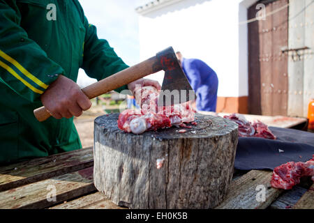 Schneiden das Fleisch mit Axt über stumpf Baum. Traditionellen Hause Schlachtung in Extremadura, Spanien Stockfoto