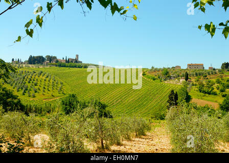 Monte Oliveto Bauernhof mit Kirche und die umliegenden Weinberge und Olive Bäume zwischen Santa Lucia und San Gimignano, Toskana, Italien Stockfoto