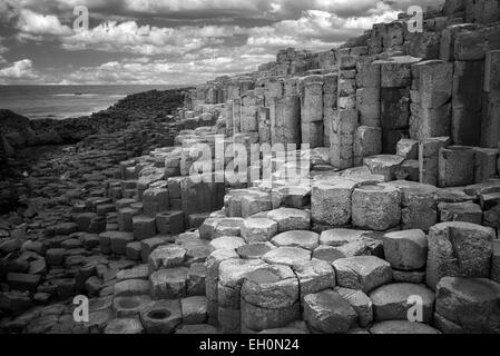 Giants Causeway. Irland Stockfoto