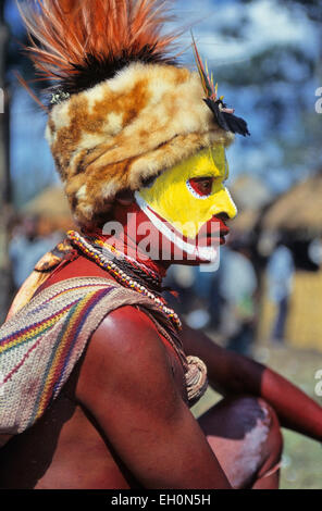 Tribal Mann, Mt. Hagen, Papua-Neuguinea Stockfoto