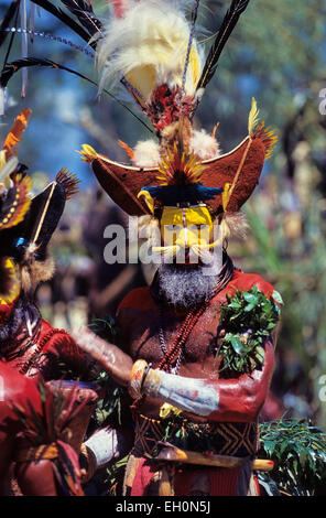 Huli Wigman in Sing-Sing, Mt. Hagen, Papua-Neuguinea Stockfoto