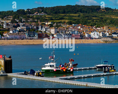 Boote vertäut im Hafen von Lyme Regis, ein beliebtes Urlaubsziel und Fischereihafen an der Jurassic Coast Dorset Süd-West England UK Stockfoto