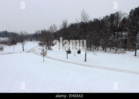 Fotografischer Blick von Bäumen, Blumen und Pflanzen in einem Wald in einem typisch kanadischen Winter Schnee Stockfoto