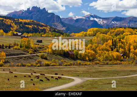 Herbstszene in Gunnison National Forest, Colorado Stockfoto