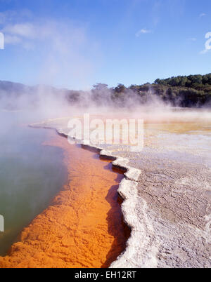 Champagne Pool, Wai-O-Tapu Thermal Wonderland Waiotapu, Bay of Plenty, Neuseeland Stockfoto