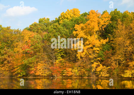 Teich im Herbst, AW Stanley Park, New Britain, Connecticut zu senken Stockfoto