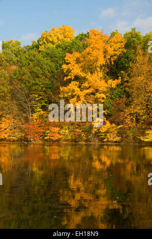 Teich im Herbst, AW Stanley Park, New Britain, Connecticut zu senken Stockfoto