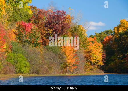 Teich im Herbst, AW Stanley Park, New Britain, Connecticut zu senken Stockfoto