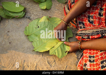 Santiniketan, Indien. 4. März 2015. Ein Dorfbewohner macht eine Blatt Platte auf ein Dorf von Birbhum Bezirk in West Bengalen, Indien, 4. März 2015. Im Norden und Osten Indien bestehen Blätter vom Baum Sal (Botanischer Name Shorea Robusta) in Platten, die beliebt sind während der traditionellen Mahlzeiten, feste und in Tempeln. Wie Sal Bäume in Birbhum Bezirk von West Bengalen in Indien angebaut sind, verdienen Dorfbewohner ihr Brot durch den Verkauf ihrer handgefertigten Blatt-Platten. © Zheng Huansong/Xinhua/Alamy Live-Nachrichten Stockfoto