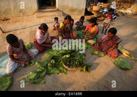 Santiniketan, Indien. 4. März 2015. Dorfbewohner machen Blatt Platten in einem Dorf Birbhum Bezirk in West Bengalen, Indien, 4. März 2015. Im Norden und Osten Indien bestehen Blätter vom Baum Sal (Botanischer Name Shorea Robusta) in Platten, die beliebt sind während der traditionellen Mahlzeiten, feste und in Tempeln. Wie Sal Bäume in Birbhum Bezirk von West Bengalen in Indien angebaut sind, verdienen Dorfbewohner ihr Brot durch den Verkauf ihrer handgefertigten Blatt-Platten. © Zheng Huansong/Xinhua/Alamy Live-Nachrichten Stockfoto