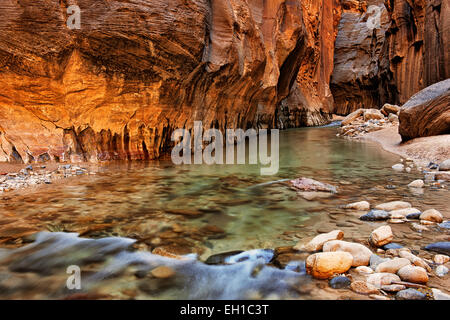 Reflektierende Licht erhellt die Sandsteinwände der The Narrows, wie dem Virgin River durch Zion National Park in Utah stürzt. Stockfoto