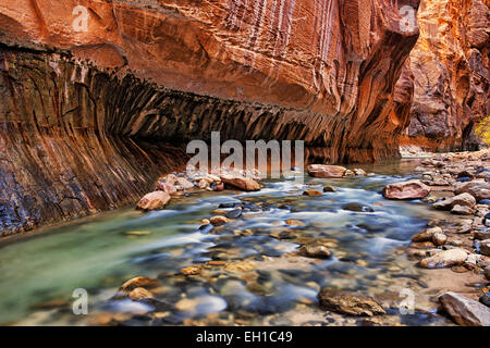 Reflektierende Licht erhellt die Sandsteinwände der The Narrows, wie dem Virgin River durch Zion National Park in Utah stürzt. Stockfoto