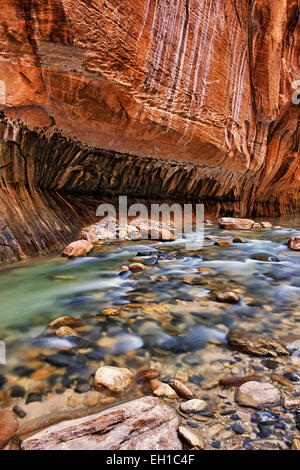 Reflektierende Licht erhellt die Sandsteinwände der The Narrows, wie dem Virgin River durch Zion National Park in Utah stürzt. Stockfoto