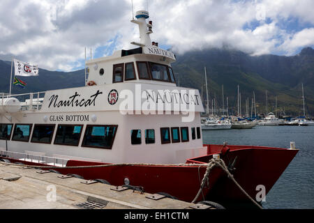 Nauticat-Glasboden-Boot nimmt Besucher mit auf eine Seal Island Cruise vom Hafen von Hout Bay in der Nähe von Cape Town, Südafrika. Stockfoto