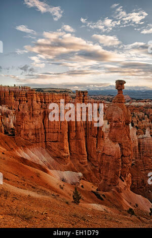 Reflektierende erste Licht erhellt Thors Hammer unter den vielen Hoodoos am Sunset Point und Bryce Canyon National Park in Utah. Stockfoto