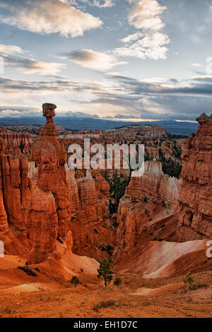 Reflektierende erste Licht erhellt Thors Hammer unter den vielen Hoodoos am Sunset Point und Bryce Canyon National Park in Utah. Stockfoto