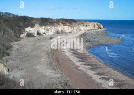 Weißdorn-Hive-Strand in der Nähe Easington Zeche Nordostengland, UK Stockfoto