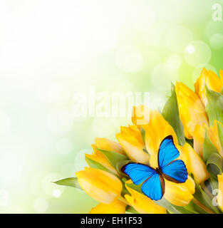 Boquet von gelben Tulpen mit exotischen Schmetterling Stockfoto