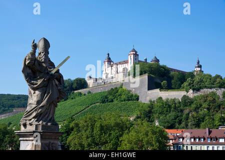 Ausblick bis Marienberg Schloss, Würzburg Stadt, Bayern, Deutschland, Europa Stockfoto