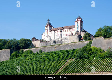 Weingut Schlossberg und Festung Marienberg Burg, Stadt Würzburg, Bayern, Deutschland, Europa Stockfoto