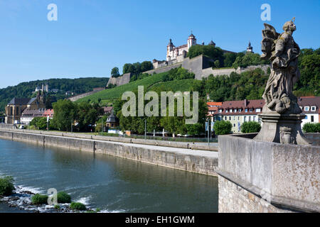 Ausblick bis Marienberg Schloss, Würzburg Stadt, Bayern, Deutschland, Europa Stockfoto