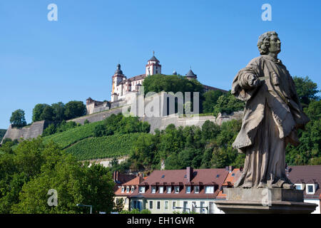 Ausblick bis Marienberg Schloss, Würzburg Stadt, Bayern, Deutschland, Europa Stockfoto